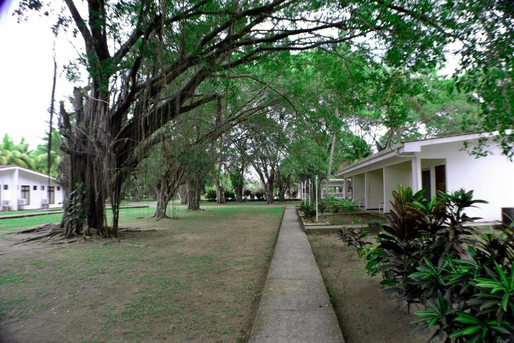 Hotel La Isla Parrita Eksteriør billede