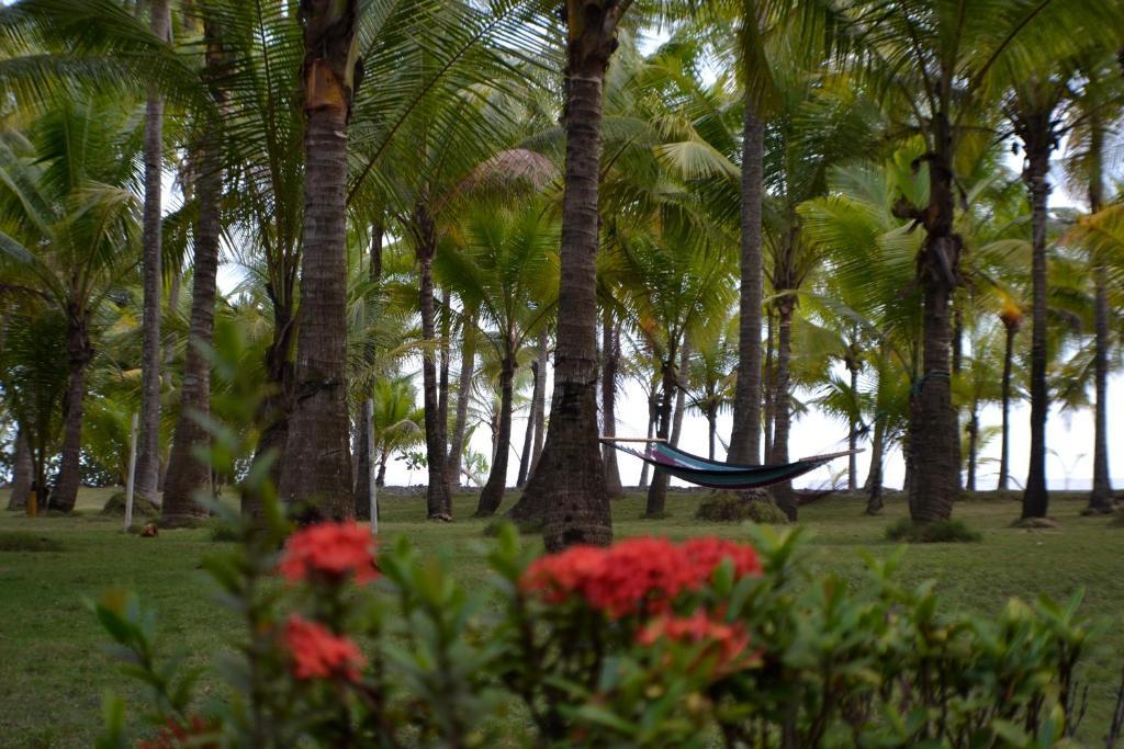 Hotel La Isla Parrita Eksteriør billede