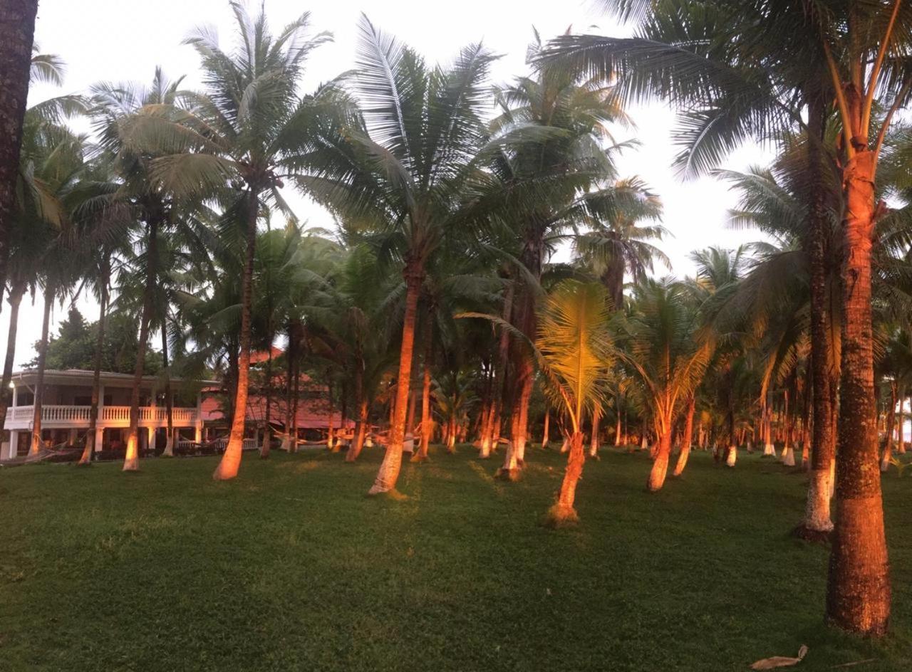 Hotel La Isla Parrita Eksteriør billede